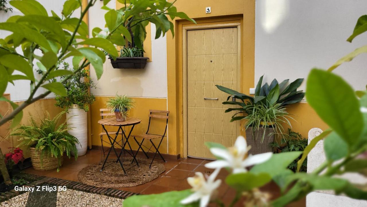 Apartamento Casa Naranjo Кордоба Екстериор снимка